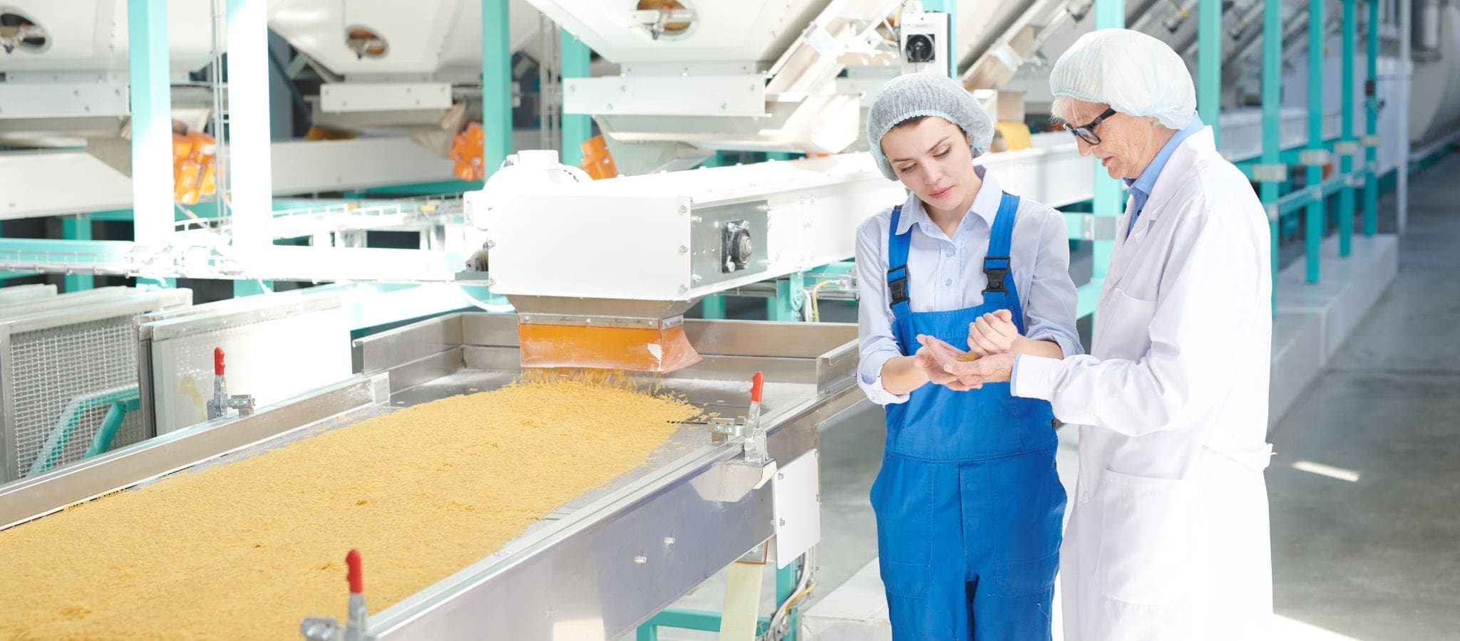 What Types of Weighing Scales Are Used Within the Food Industry?