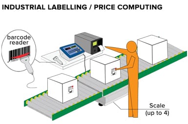 Labelling Software